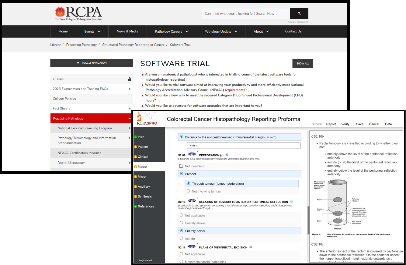 LogicNets Partners with Royal College of Pathology Australasia (RCPA)