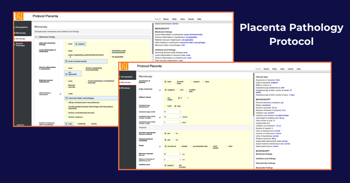 New Research Validates Structured Pathology Reporting — Featuring PALGA's National Infrastructure